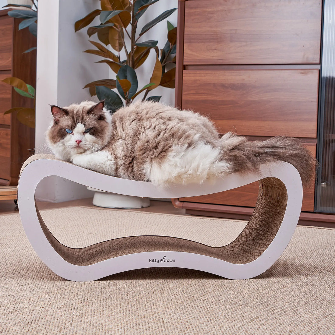 Welkom in de wereld van Kitty Town