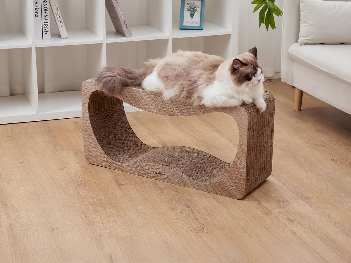 Hoe verzorg ik een kat? Complete checklist en tips voor elke levensfase – Kitty Town