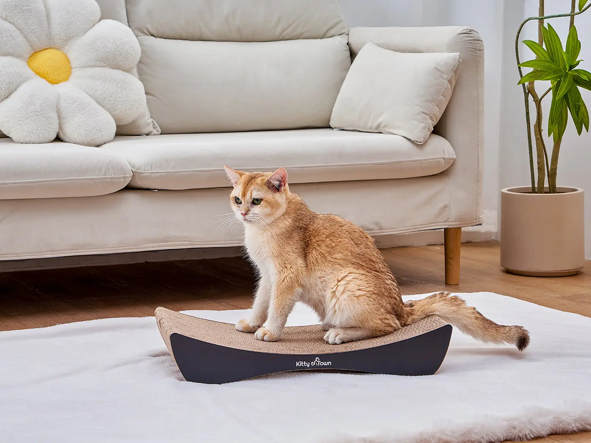 Waarom krabkarton steeds populairder wordt bij katten (en hun baasjes) – Kitty Town