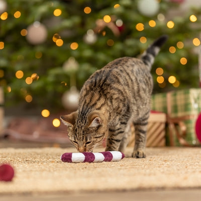 Trixie Xmas Candy Cane Kerststok Met Catnip Pluche Assorti 17,5 Cm