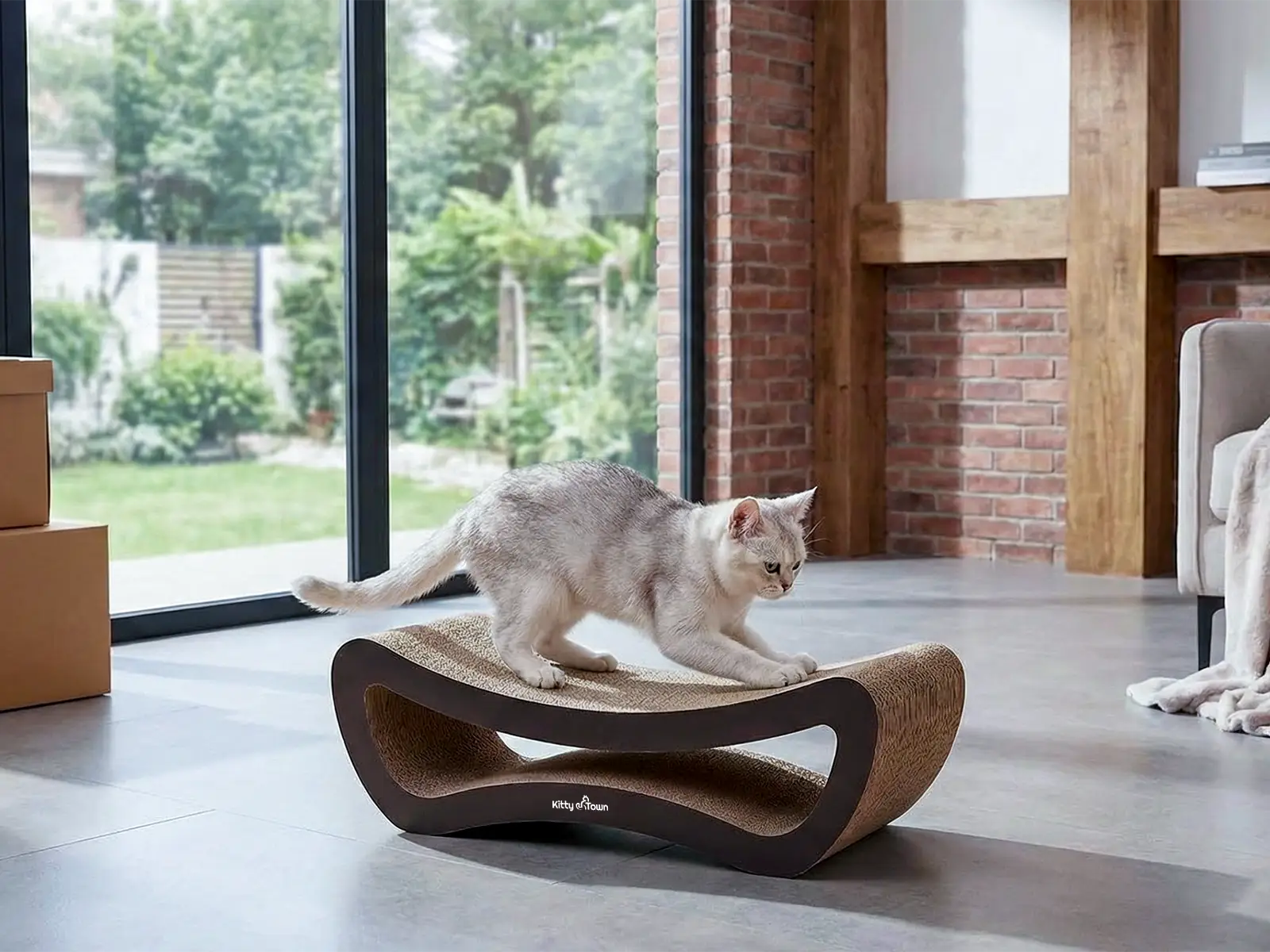 Territorium en onzindelijkheid na de verhuizing - Kittytown